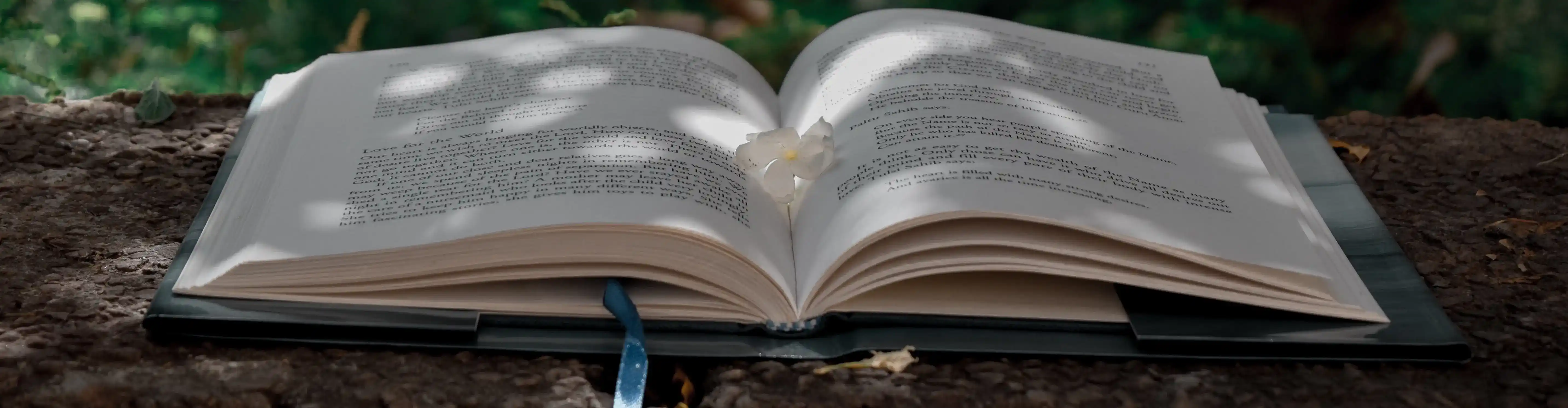 book on woodland surface with flower on its page