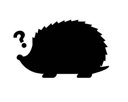 icon of a hedgehog